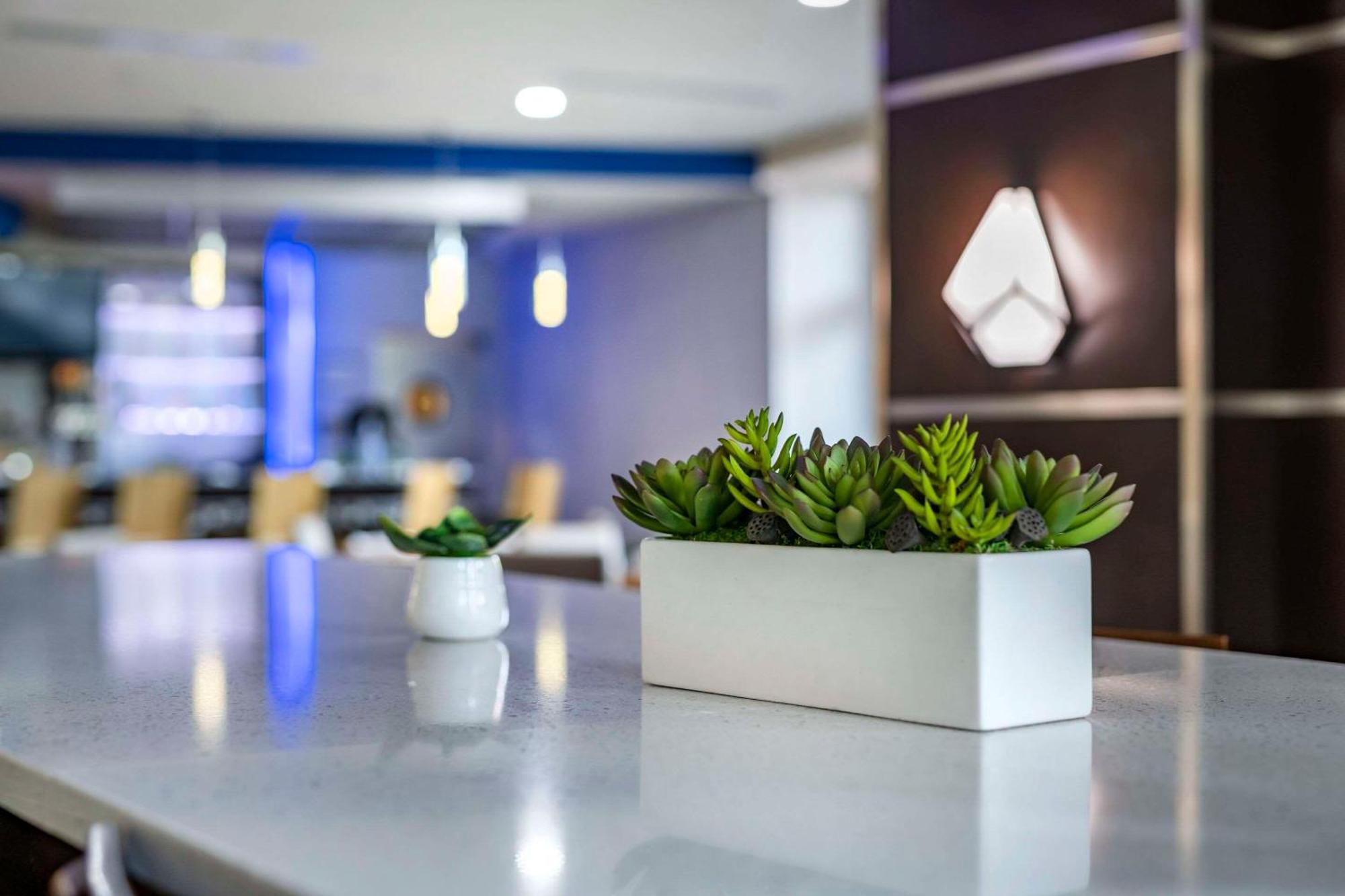 Cambria Hotel Ft Lauderdale, Airport South & Cruise Port Данія-Біч Екстер'єр фото